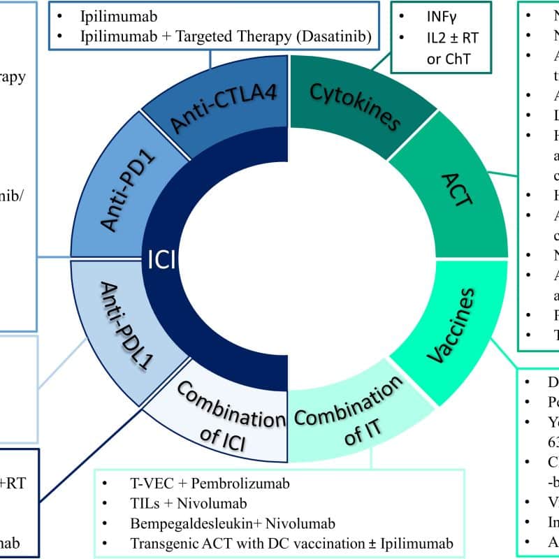 Exploring-Sarcoma-Treatment-Options-for-Patients.jpg