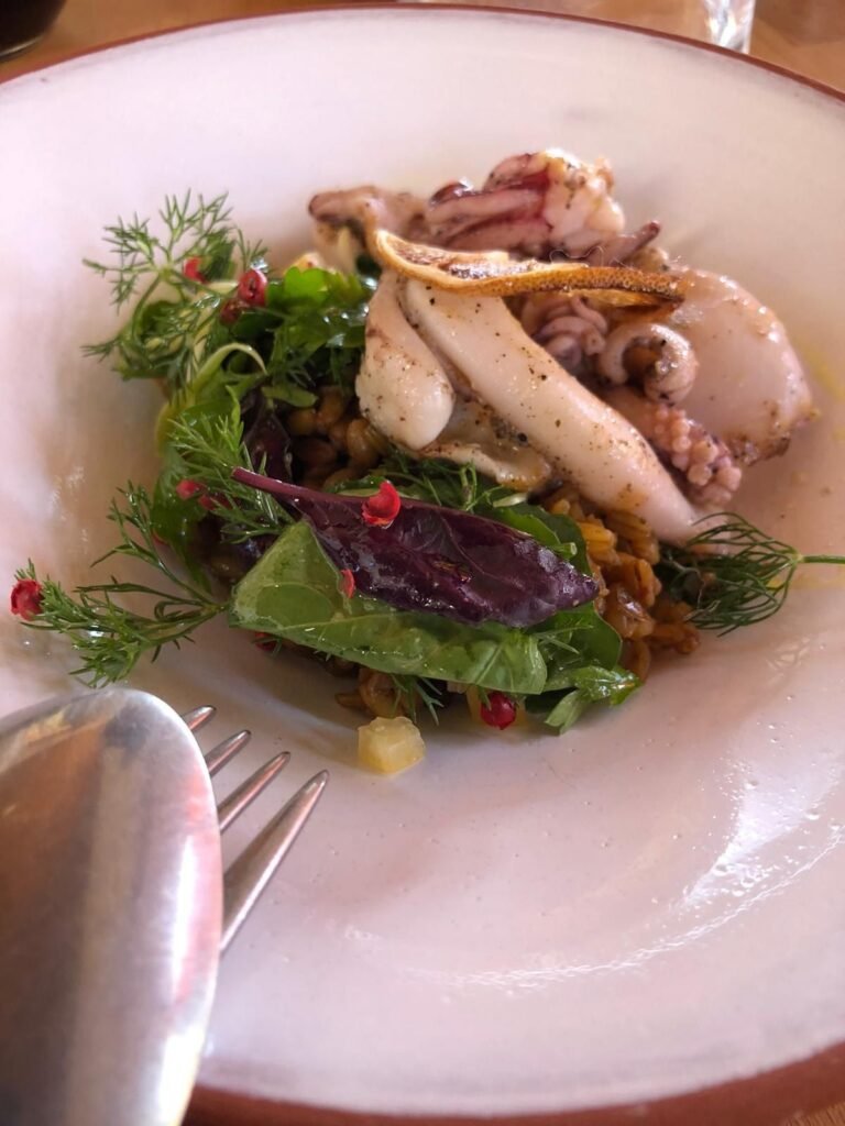 Fresh calamari salad