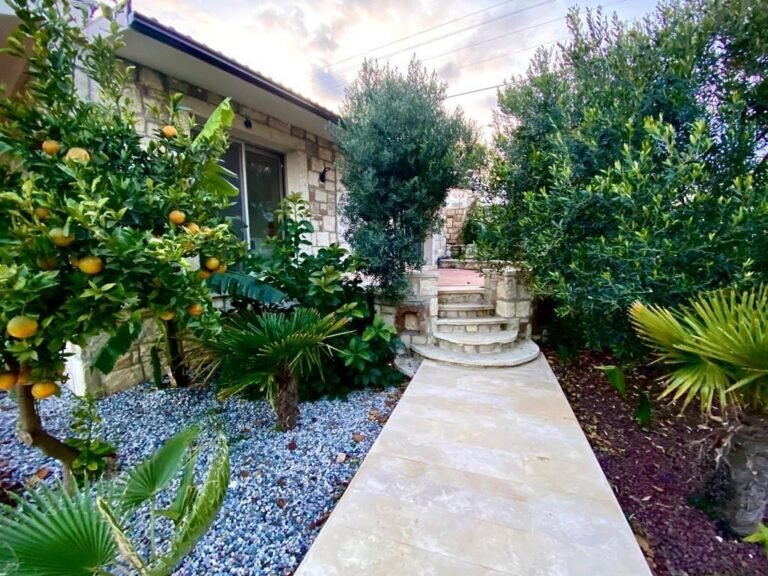 Garden path lined with citrus trees